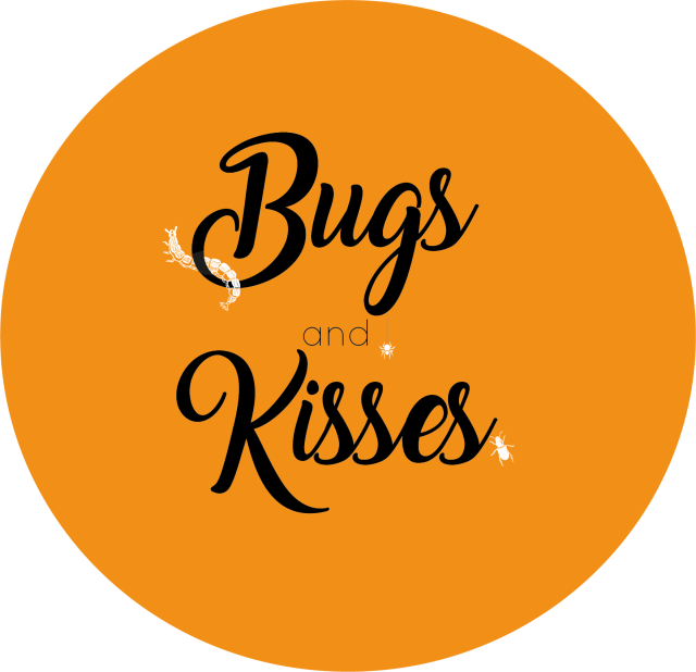 Orange Bugs and Kisses Halloween Themed Stickers